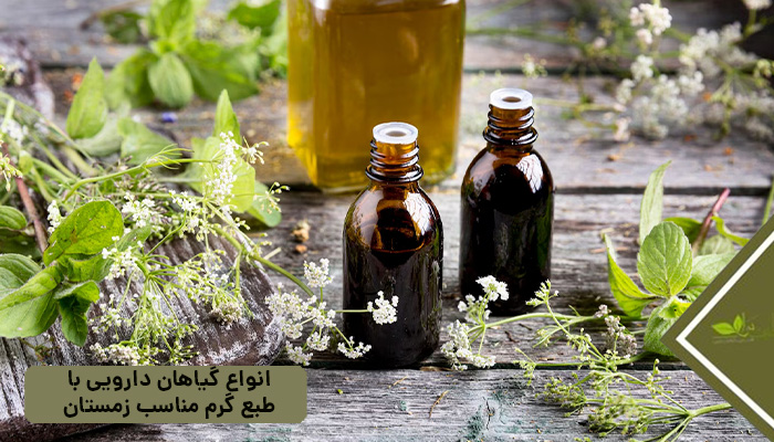 انواع گیاهان دارویی باطبع گرم مناسب زمستان